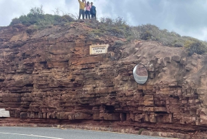 Экскурсия на мыс Доброй Надежды > Чапманс Драйв > Пингвины > Остров тюленей