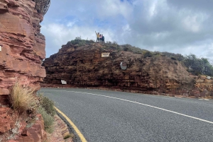 Экскурсия на мыс Доброй Надежды > Чапманс Драйв > Пингвины > Остров тюленей