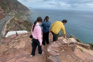 Экскурсия на мыс Доброй Надежды > Чапманс Драйв > Пингвины > Остров тюленей