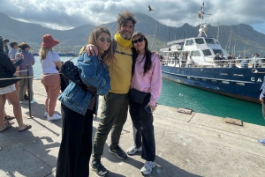 Экскурсия на мыс Доброй Надежды > Чапманс Драйв > Пингвины > Остров тюленей