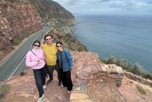 Экскурсия на мыс Доброй Надежды > Чапманс Драйв > Пингвины > Остров тюленей