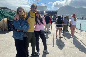 Экскурсия на мыс Доброй Надежды > Чапманс Драйв > Пингвины > Остров тюленей