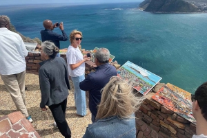 Экскурсия на мыс Доброй Надежды > Чапманс Драйв > Пингвины > Остров тюленей