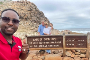 Экскурсия на мыс Доброй Надежды > Чапманс Драйв > Пингвины > Остров тюленей