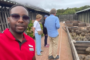 Экскурсия на мыс Доброй Надежды > Чапманс Драйв > Пингвины > Остров тюленей