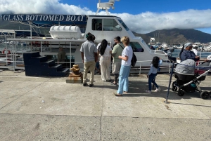 Экскурсия на мыс Доброй Надежды > Чапманс Драйв > Пингвины > Остров тюленей