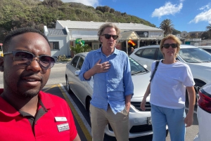 Экскурсия на мыс Доброй Надежды > Чапманс Драйв > Пингвины > Остров тюленей