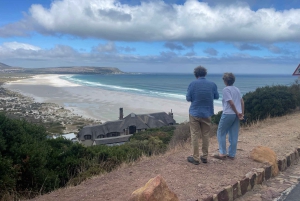 Экскурсия на мыс Доброй Надежды > Чапманс Драйв > Пингвины > Остров тюленей