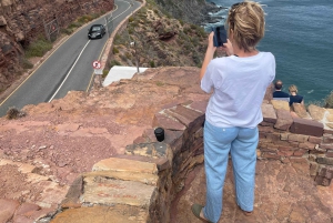 Экскурсия на мыс Доброй Надежды > Чапманс Драйв > Пингвины > Остров тюленей