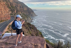 Экскурсия на мыс Доброй Надежды > Чапманс Драйв > Пингвины > Остров тюленей