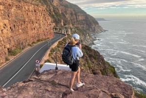 Экскурсия на мыс Доброй Надежды > Чапманс Драйв > Пингвины > Остров тюленей