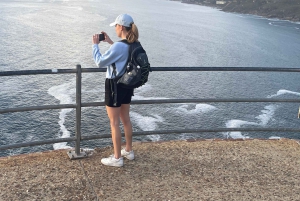 Экскурсия на мыс Доброй Надежды > Чапманс Драйв > Пингвины > Остров тюленей