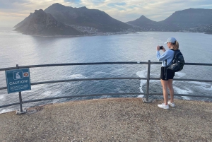 Экскурсия на мыс Доброй Надежды > Чапманс Драйв > Пингвины > Остров тюленей