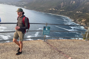 Экскурсия на мыс Доброй Надежды > Чапманс Драйв > Пингвины > Остров тюленей