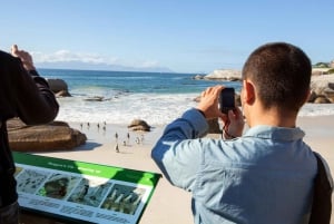 Excursão compartilhada de dia inteiro à Península do Cabo e à Colônia de Pinguins