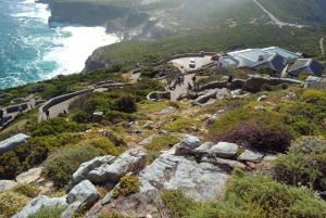 Półwysep Przylądkowy: Przylądek Dobrej Nadziei i plaża Boulders Beach Penguins