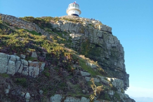 Półwysep Przylądkowy: Przylądek Dobrej Nadziei i plaża Boulders Beach Penguins