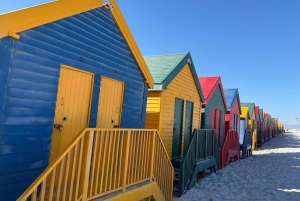 Péninsule du Cap : Cap de Bonne-Espérance et pingouins - Visite privée