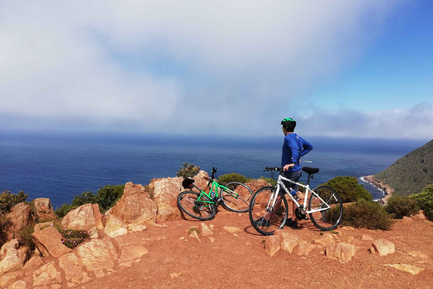 Półwysep Przylądkowy: prywatna całodniowa wycieczka rowerowa i jedź