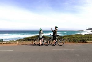 Cape Peninsula: Cycle & Drive Private Full Day Tour