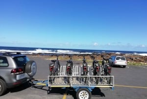 Península do Cabo: excursão privada de dia inteiro de bicicleta e de carro