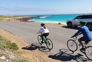 Péninsule du Cap : Circuit privé d'une journée en vélo et en voiture