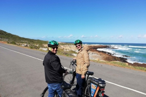 Półwysep Przylądkowy: prywatna całodniowa wycieczka rowerowa i jedź