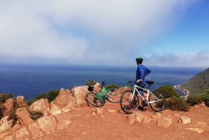 Półwysep Przylądkowy: prywatna całodniowa wycieczka rowerowa i jedź