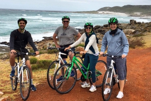 Półwysep Przylądkowy: prywatna całodniowa wycieczka rowerowa i jedź