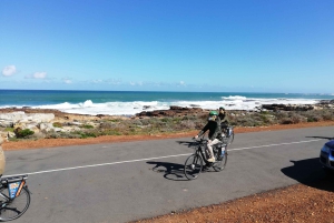 Półwysep Przylądkowy: prywatna całodniowa wycieczka rowerowa i jedź