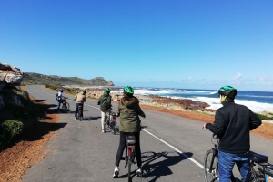 Półwysep Przylądkowy: prywatna całodniowa wycieczka rowerowa i jedź