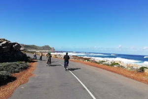 Półwysep Przylądkowy: prywatna całodniowa wycieczka rowerowa i jedź