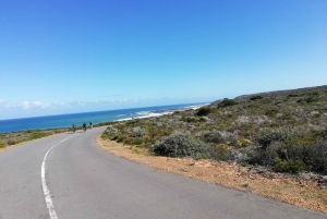 Półwysep Przylądkowy: prywatna całodniowa wycieczka rowerowa i jedź