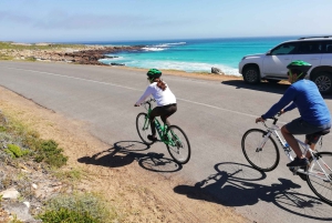 Półwysep Przylądkowy: prywatna całodniowa wycieczka rowerowa i jedź