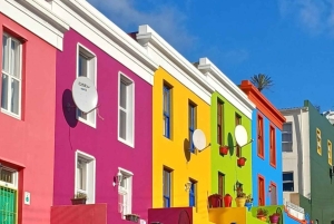 Cape Peninsula Day Tour