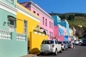 Cape Peninsula Day Tour