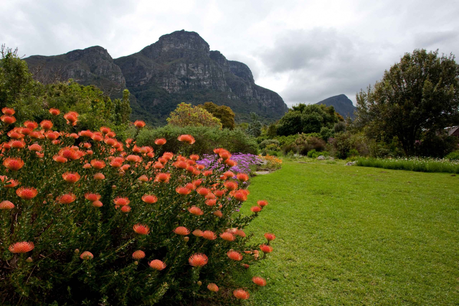 Cape Peninsula Full-Day Tour from Cape Town