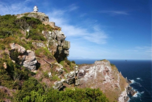 Ganztagestour auf der Kaphalbinsel ab Kapstadt