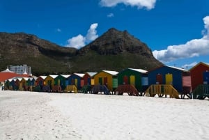 Kaphalvön heldagstur från Kapstaden