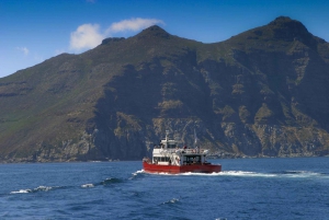 Kaap Schiereiland dagvullende tour vanuit Kaapstad