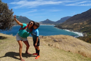 Cape Peninsula Full-Day Tour from Cape Town