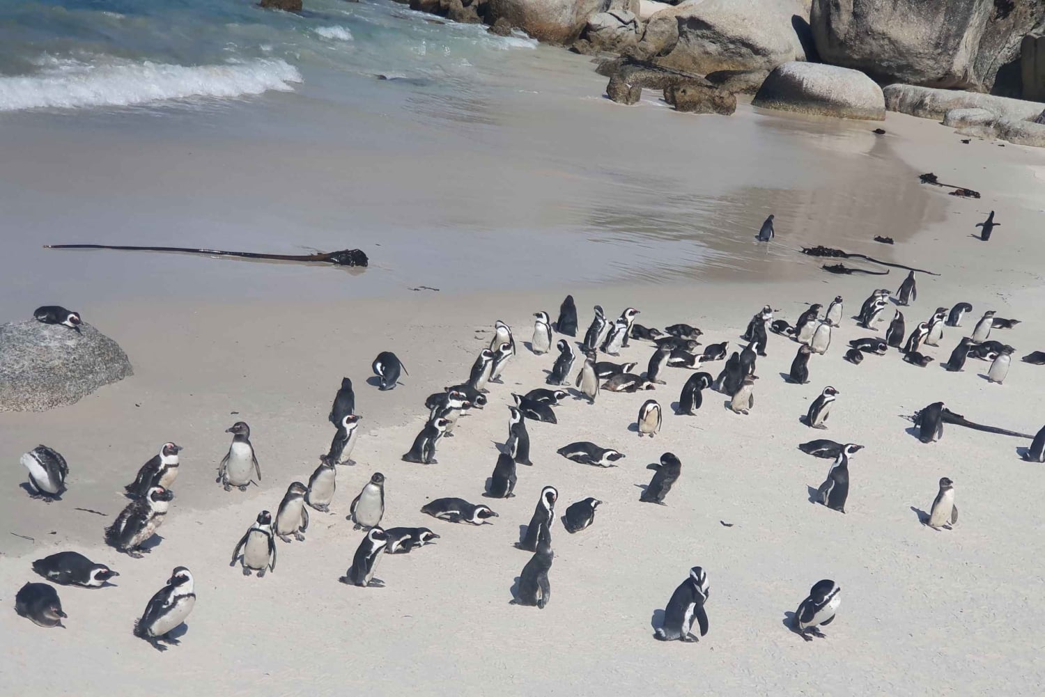 Kap-Halbinsel: Tagestour im Privatwagen