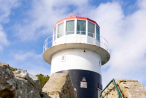 Cape Peninsula: Private Half Day Tour