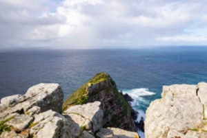 Cape Peninsula: Private Half Day Tour