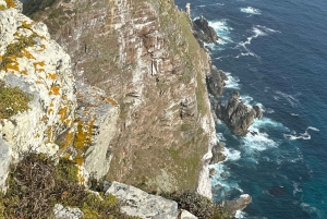 The Cape Peninsula: A Day of Coastal Elegance