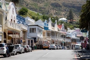 Cape Peninsula & Penguins Beach Half Day Tour from Cape Town