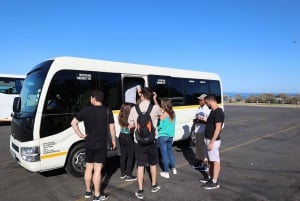 Cape Peninsula & Penguins Beach Half Day Tour from Cape Town