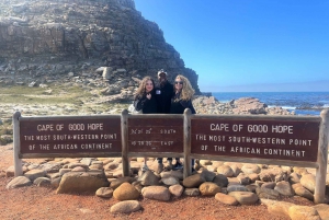 Excursão privada de um dia à Península do Cabo e Pinguins.