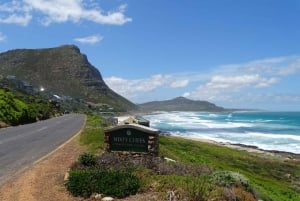 Cape Peninsula: Private Full-Day Tour from Cape Town