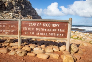 Cape Peninsula: Privat halvdagstur